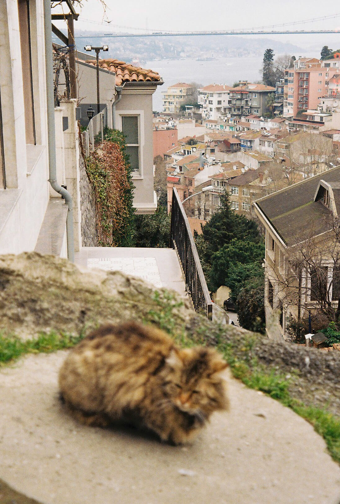 Kuzguncuk