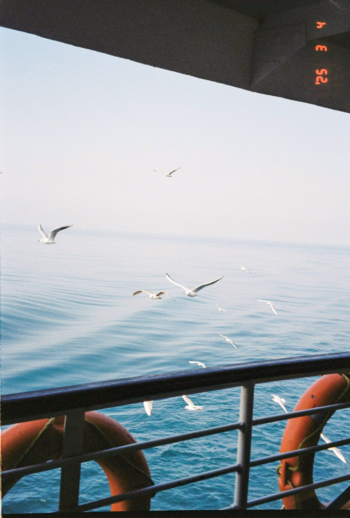 Bosphorus
